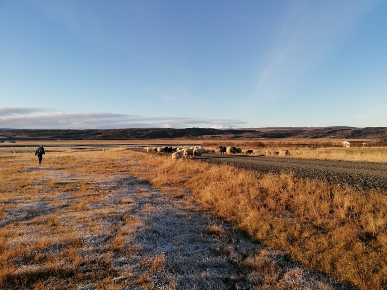 Mynd/Engihlíð