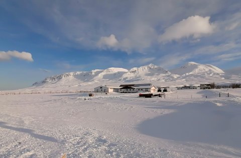 Mynd/Engihlíð